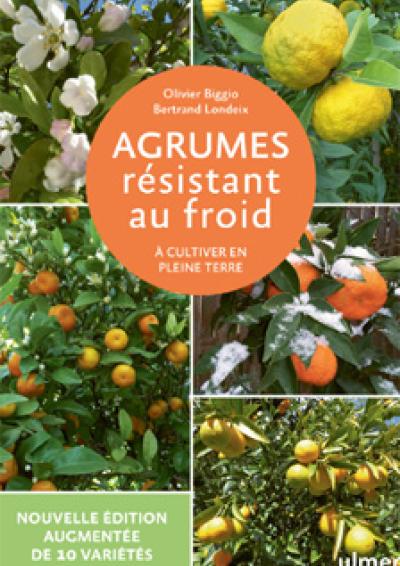 2025-02-20 Cov Agrumes réédition - Ulmer