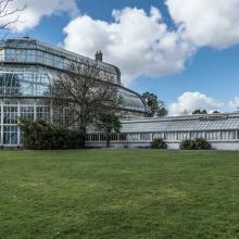 Meise serre issue du web