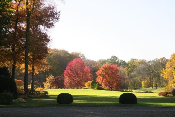 Wespelaar Automne site internet