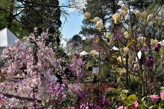 Saint Jean de Beauregard - Printemps