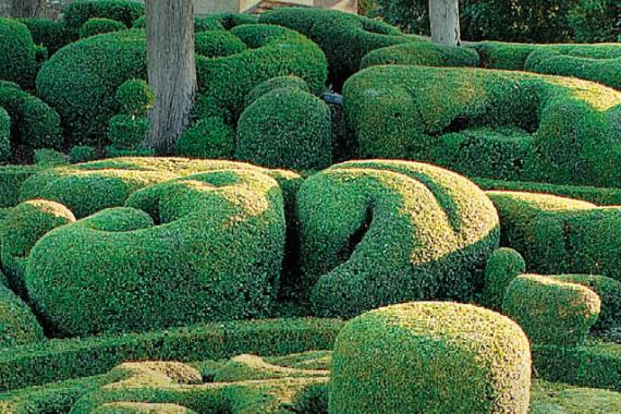 2024-05 - EBTS - Journées mondiales art topiaire