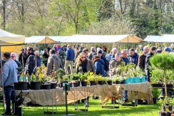 Kalmthout - Journées des plantes de printemps
