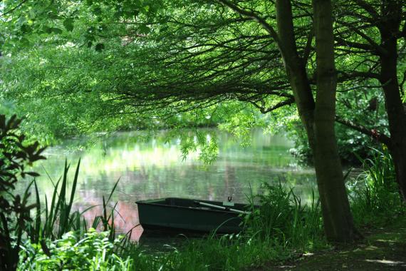 Kreftenbroeck arboretum