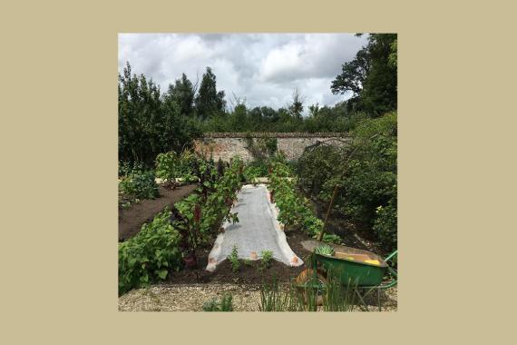Le Try - Potager toute l'année - Formation