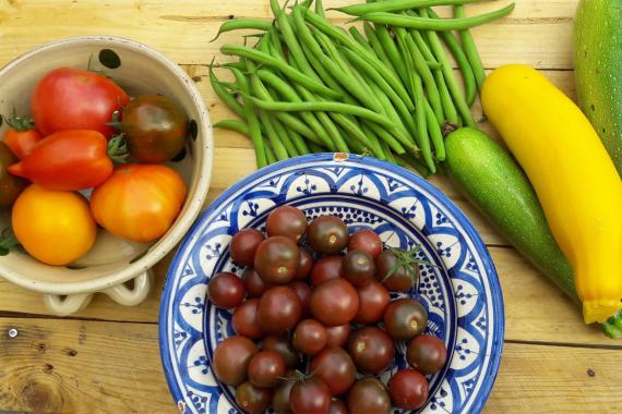 Graines de Sens - Potager en permaculture