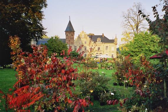 2024 - Beez - Festival des plantes - Automne