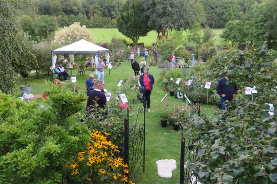 Expo-vente - O Jardin paisible - Fressin - France