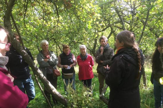 Verger Flore et Pomone - Visite-degustation