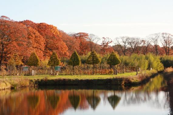 Automne - Kleine Boerderij