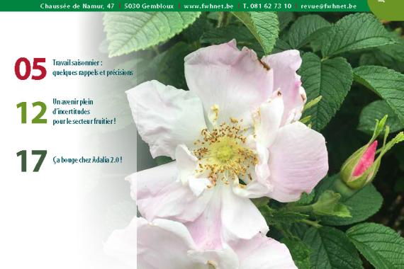 Revue 142 - cov 01