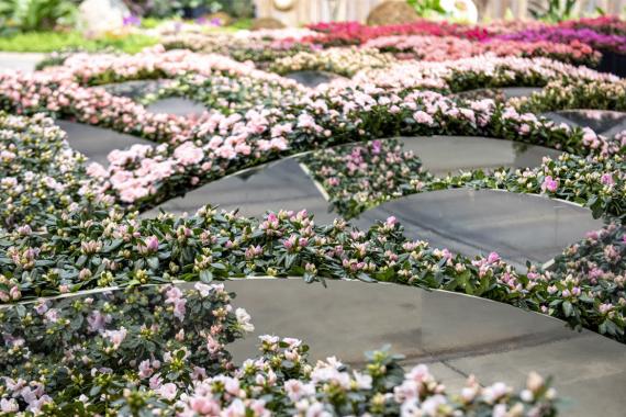 Floralien - 2022 - Pont azalees