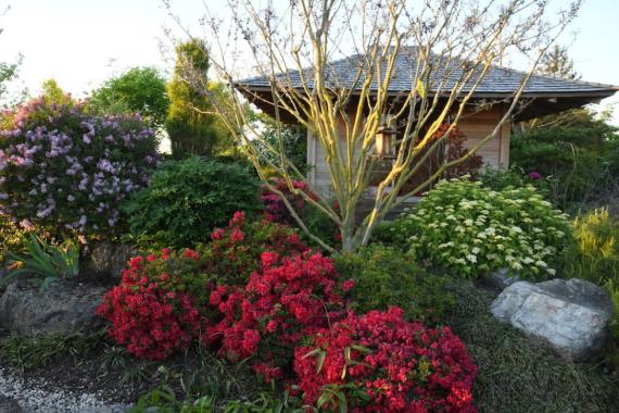 05 - Mai au jardin Amonea - Portes ouvertes