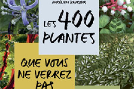2025-04-10 - Cov Les 400 plantes que vous ne verrez pas dans le jardin de votre voisin - Ulmer
