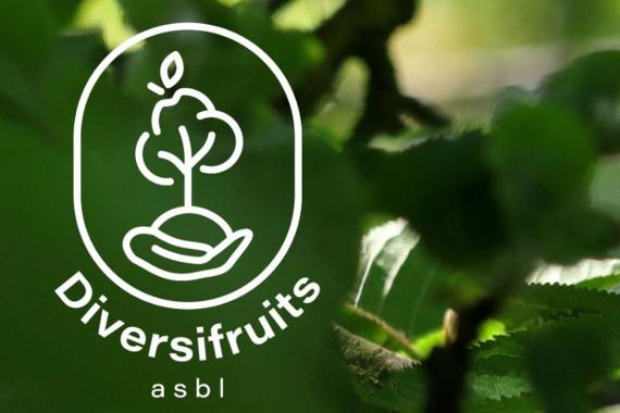 Diversifruits logo