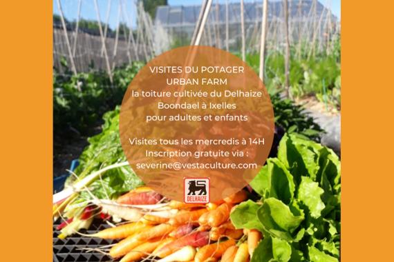 Urban Farm - Ixelle - Visite guidee