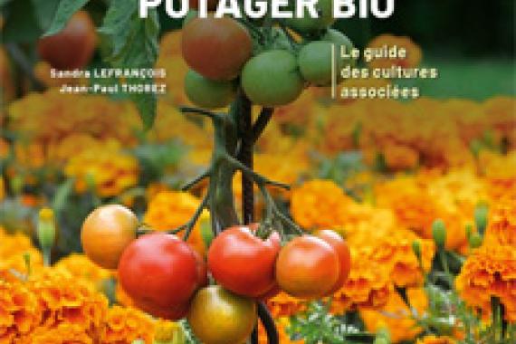 2025-06-26 - Cov Plantes compagnes au potager Bio - nouvelle edition - Ed Terre vivante