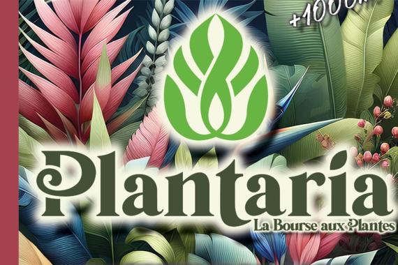Plantaria - Bourse plantes - sans date