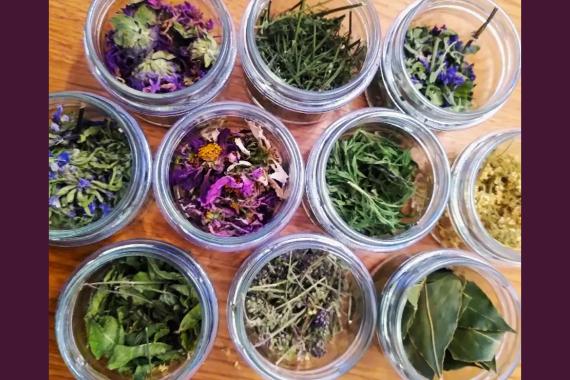 Potions de Mana chez Ekikrok - Creation de tisanes