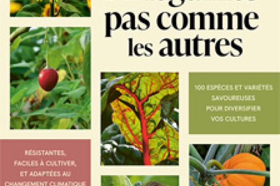 2025-09-04 - Cov des Legumes pas comme les autres - Ed Ulmer
