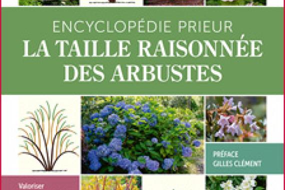 2025-10-16 - Cov Taille raisonnee desarbustes - Encyclopedie Prieur