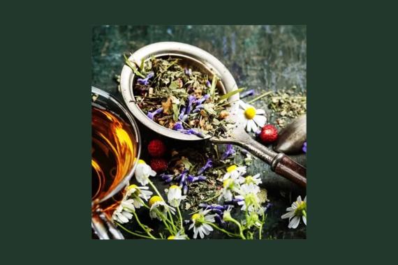 Sacrees vegetales - creation tisanes