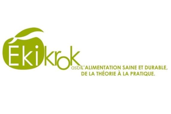 Ekikrok logo