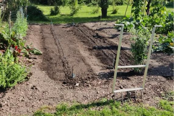 Graines de Sens - Pause potagere