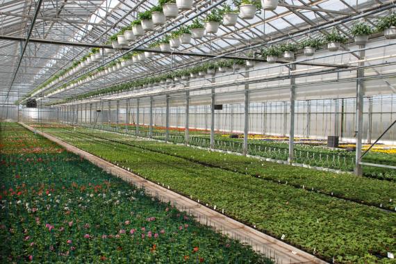 Lecocq Cedric Serres