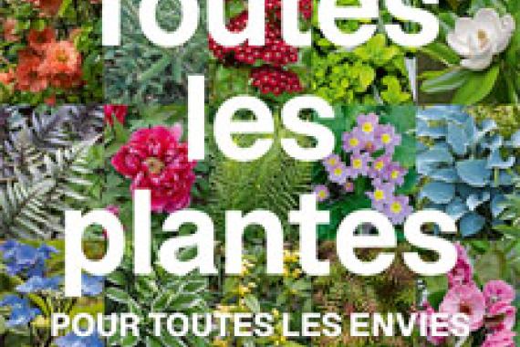 2026-02- 26 - Cov Toutes les plantes - NEW - D Willery - Ulmer