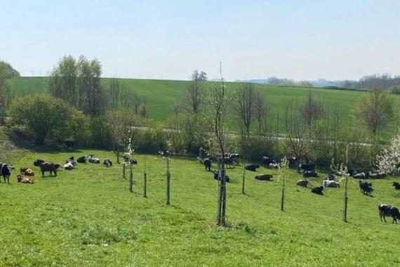Vergers HT Ferme de la Warde