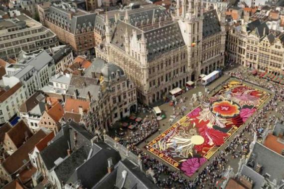 Tapis de fleurs Bruxelles - Flower Carpet