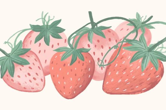 Musee Fraises Wepion