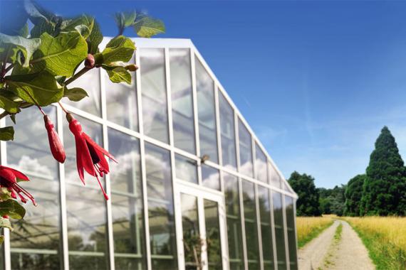 Arboretum Versailles-Chevreloup - FUCHSIAS - NEW 2026
