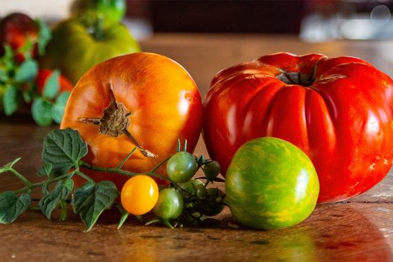 Bourdaisiere - Festival Tomates