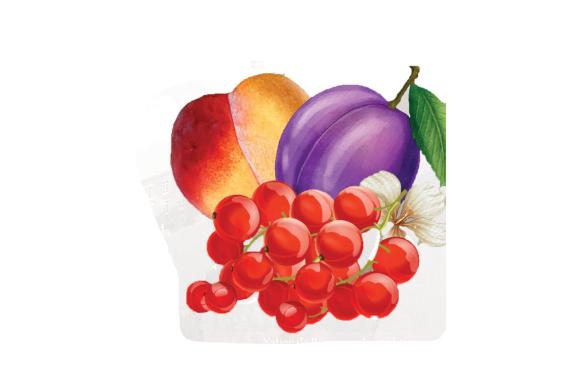 NBS - Zomerfruits - Logo
