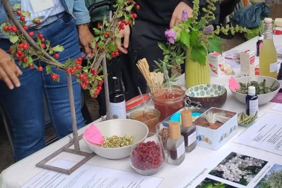 Orval - Journee Herboristerie - Ecole des plantes