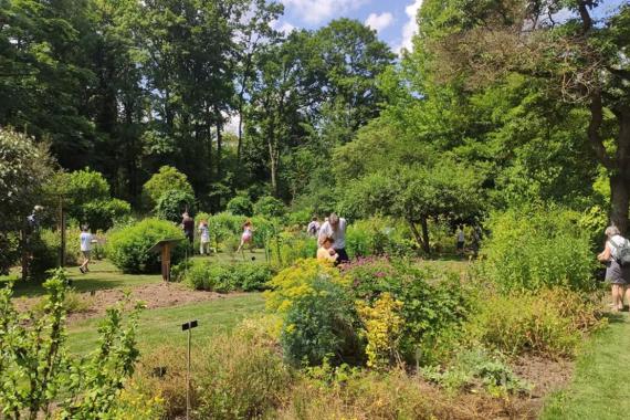 Jardin Botanique Jean Massart