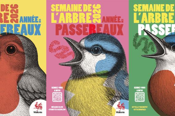 2026 Semaine arbre - Passereaux