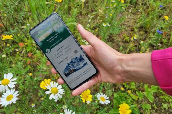 JBM - Jeu familial connecte - Plantes stars