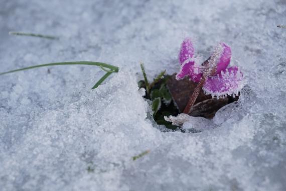 Jardin botanique Jean Massart - Hiver